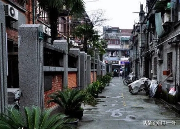 上海必去几条路攻略,上海值得去的路线