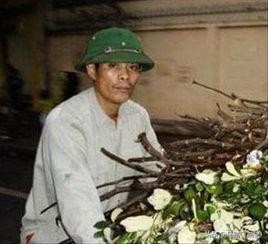 越南旅游上卫生间方便吗 (去越南旅游公共厕所)