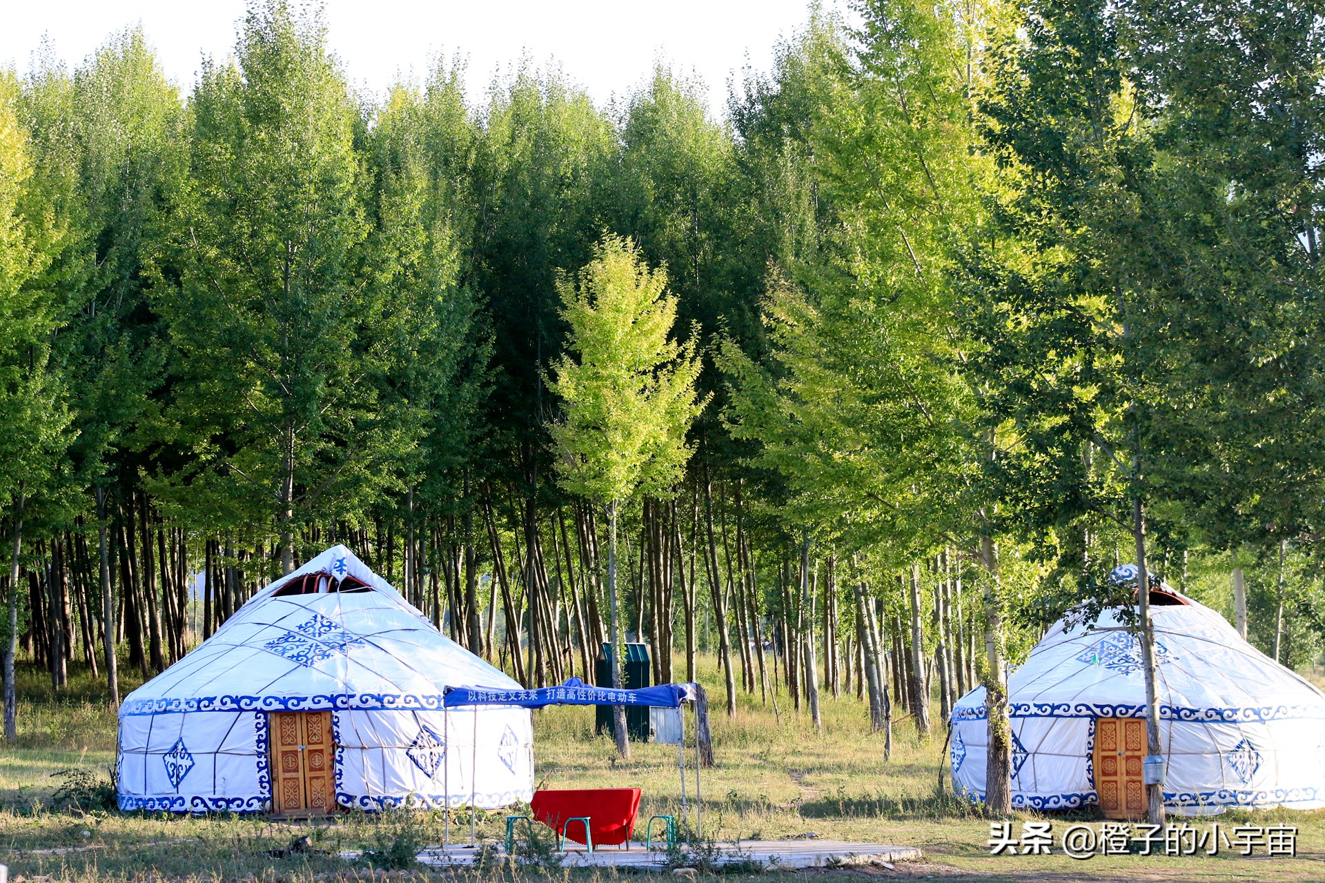 怀念琼库什台的羊毛被
