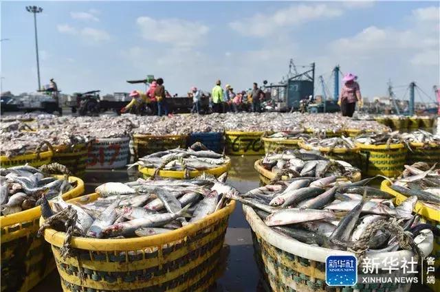 接下来3个月，福州人想吃这些海鲜要多花钱了！因为……