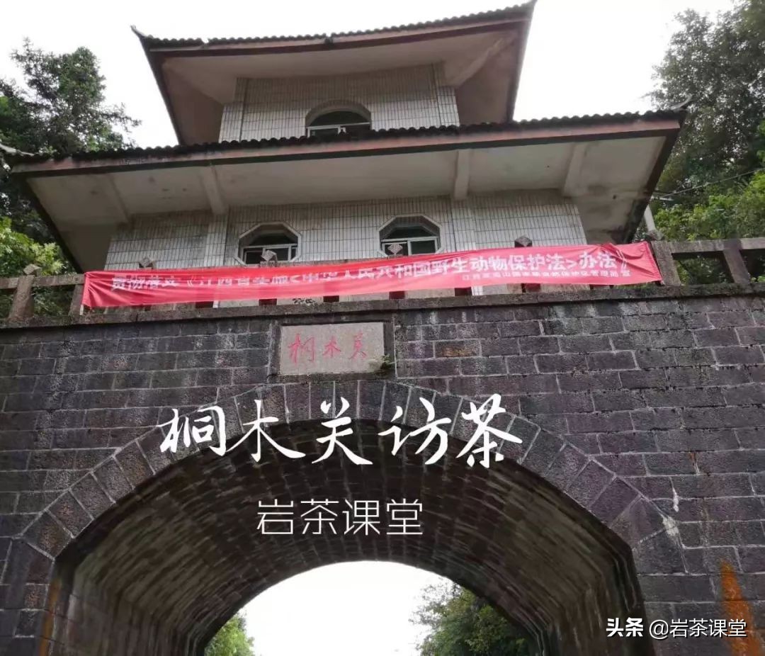 如何辨别红茶金骏眉好坏 (如何区分真假金骏眉红茶)