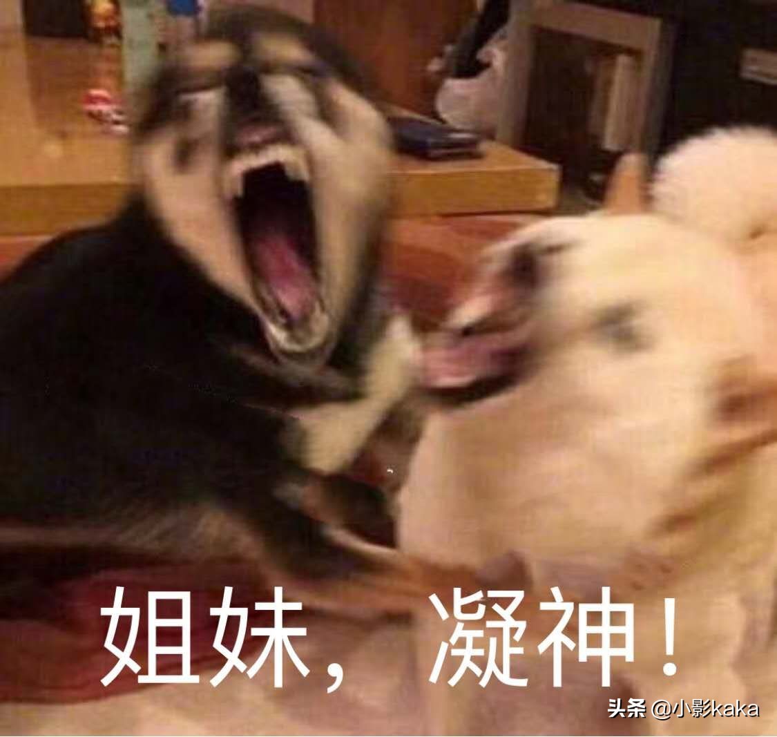 点击收获娱乐圈黑人套路，中招了怎么办，别慌这里有答案