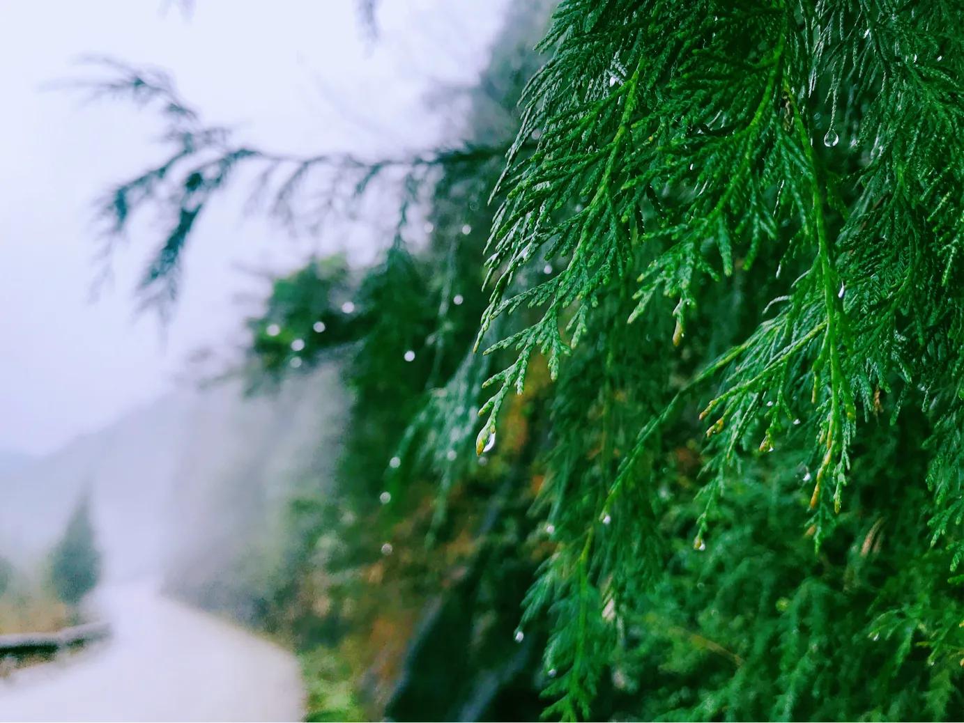 为什么没钱却想去旅游,为什么有些人没钱还要出去旅游