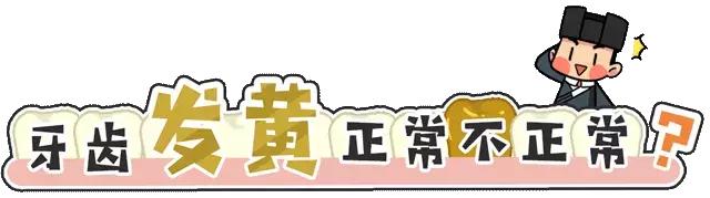 人体牙齿在哪个年龄段最坚硬,人体最坚硬的部位是骨骼还是牙齿