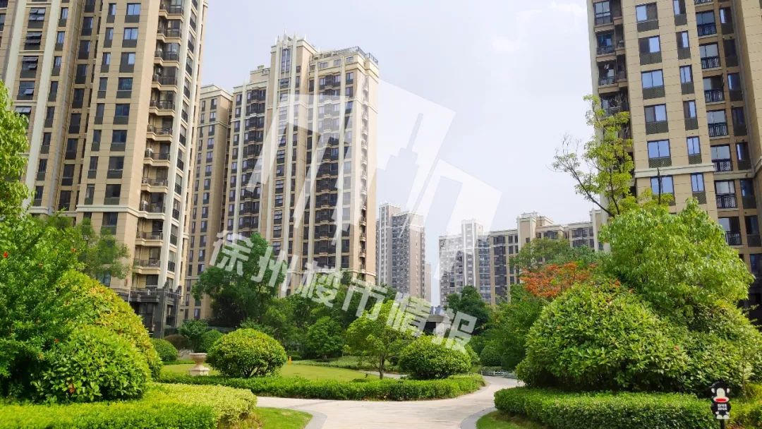 半年涨了几十万！这个小区业主真幸福