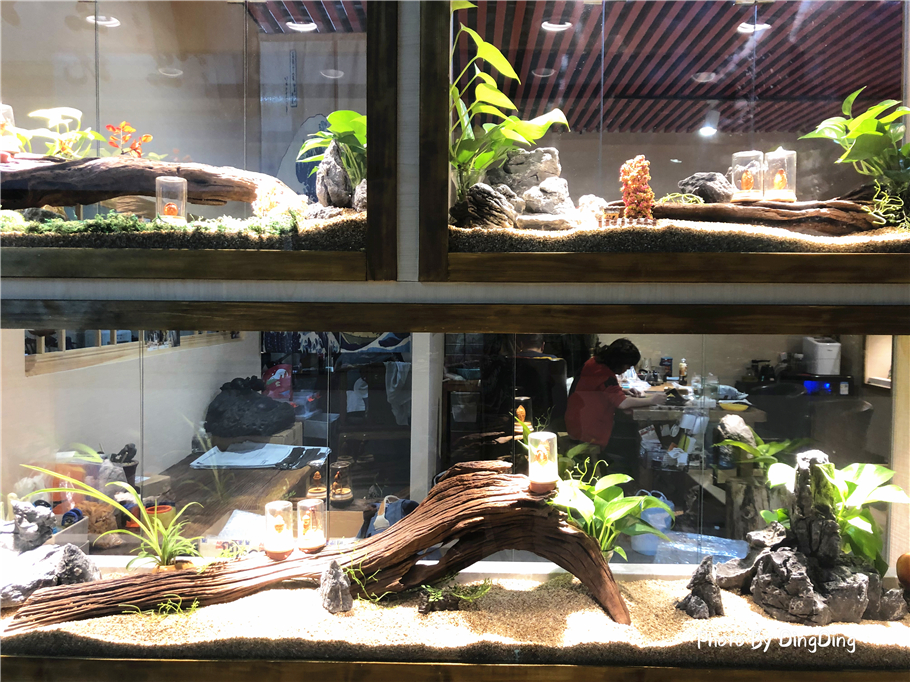 北京旧货市场哪里好玩,北京旧货市场潘家园