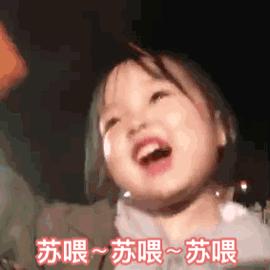 深汕生日快乐,深圳经济特区的生日