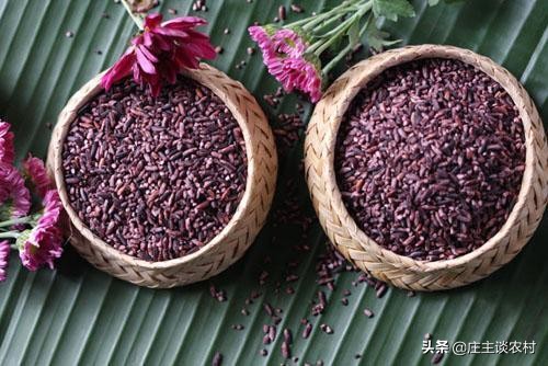 世界上最贵的三种食材,全球公认最贵顶级食材及价格