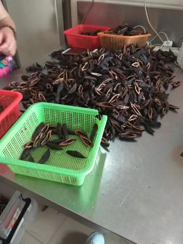 一年卖出百亿的槟榔广告被叫停！3位口腔癌患者含泪讲述成瘾经过