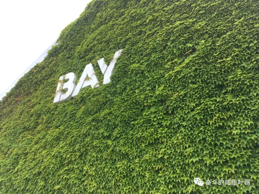 北海道函馆推荐,北海道的夏天