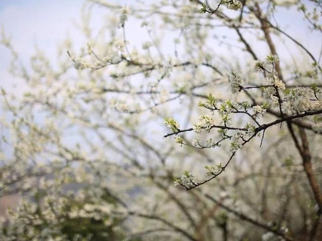 鏁f枃鍐ぉ鐨勯,鏆栨殩鐨勯鏁f枃