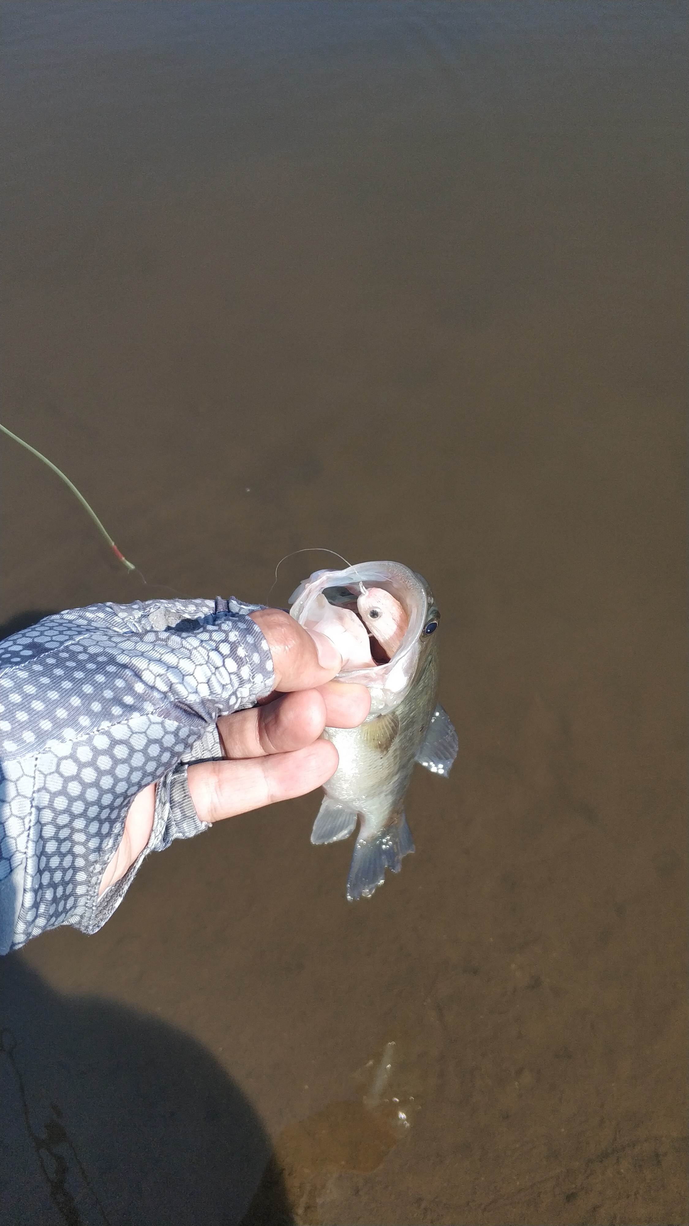 很惬意的路亚钓鱼,房车路亚野钓