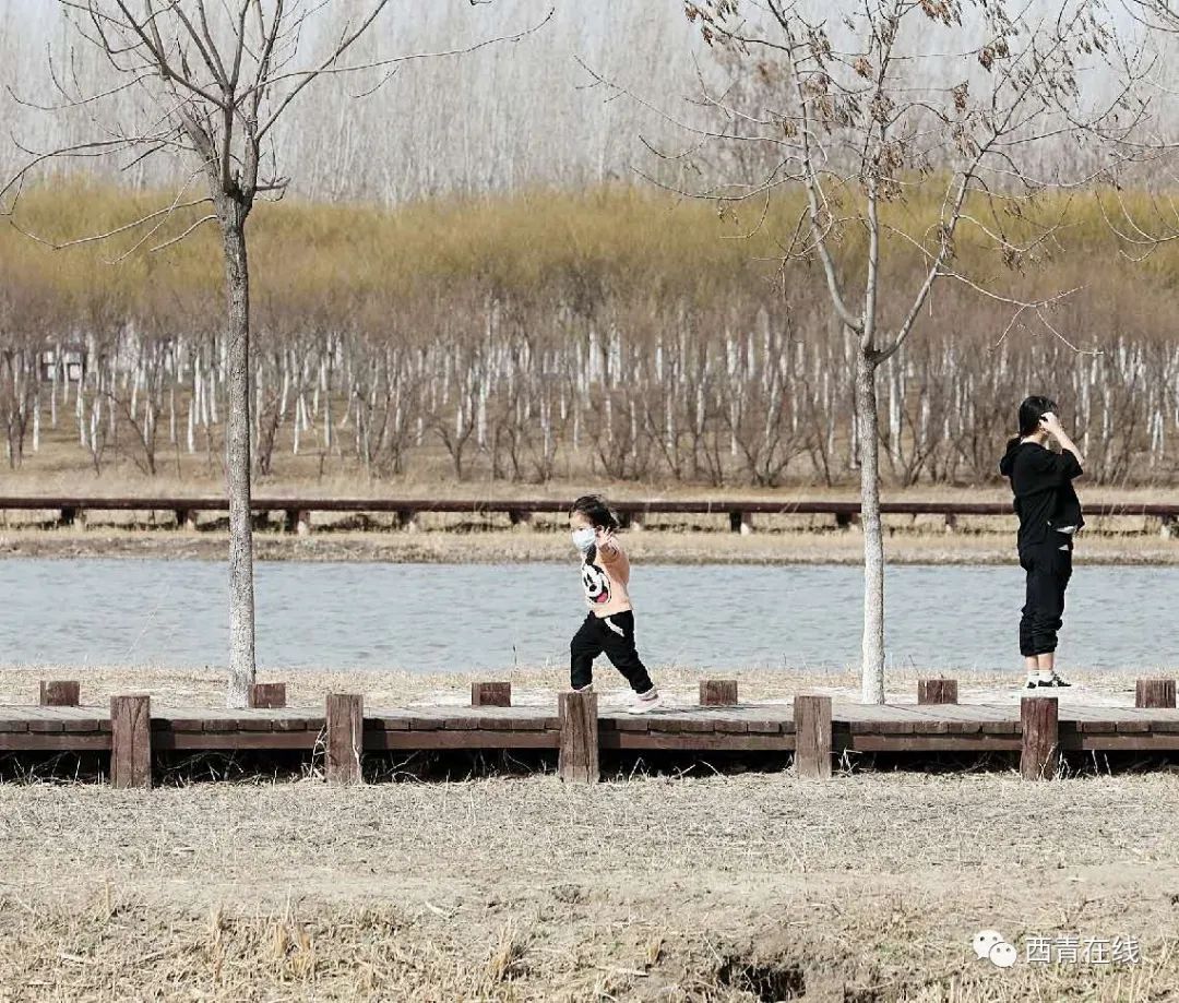 天津最近新开放的公园,天津东疆亲海公园2022年开放吗