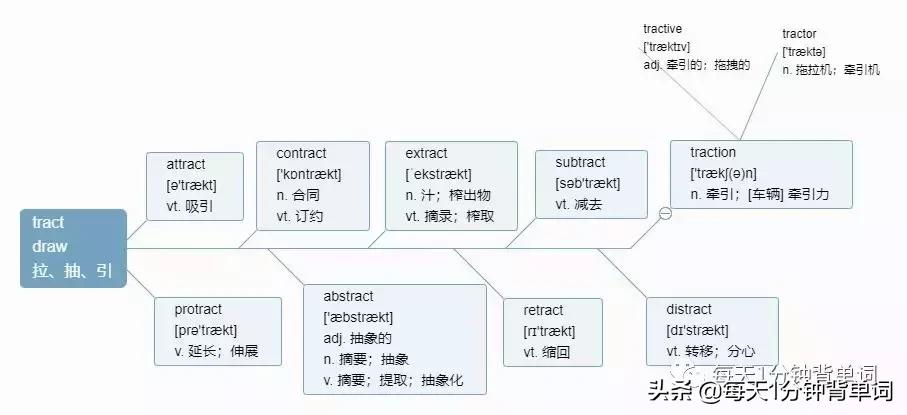 如何背单词先背词根,每日单词速记词根