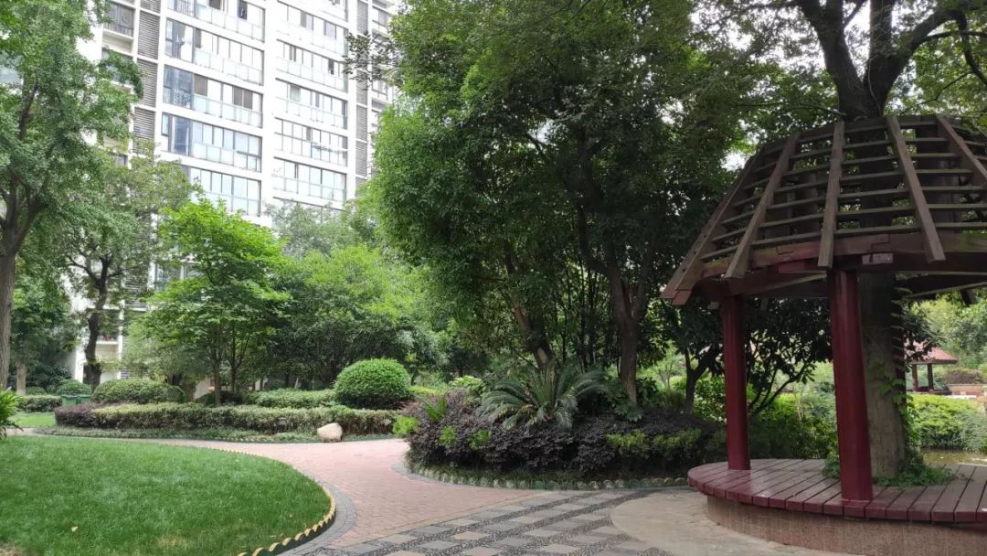 是谁给你的勇气原版视频,是谁给你的勇气歌曲