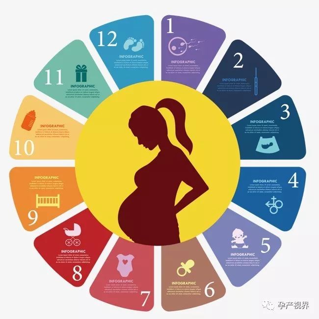 刚怀孕50天做b超能检查出来什么,怀孕初期检查hcg翻倍需要查几次