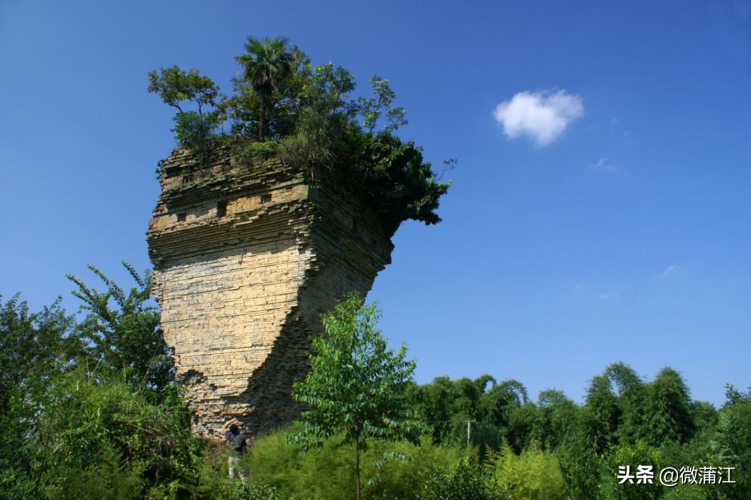 探访深山竹林倍感神清气爽,蒲江遥望雪山感受诗意栖居