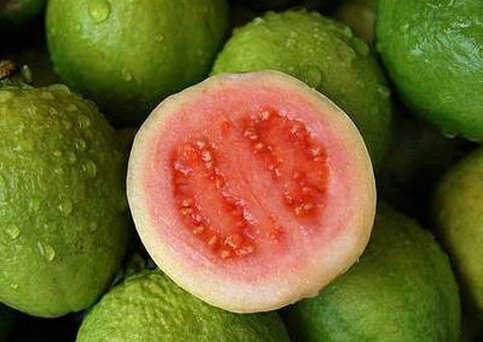 三亚自由行最全攻略,三亚旅行攻略大全最新