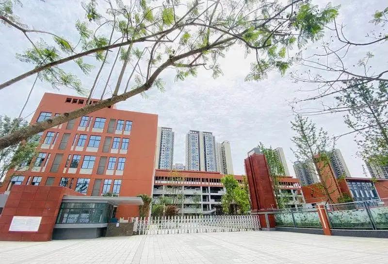 成华区新小学,成华区配套小学什么时候招生