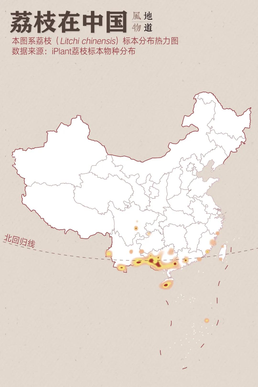 中国哪里的荔枝最甜,全国荔枝最好吃的地方