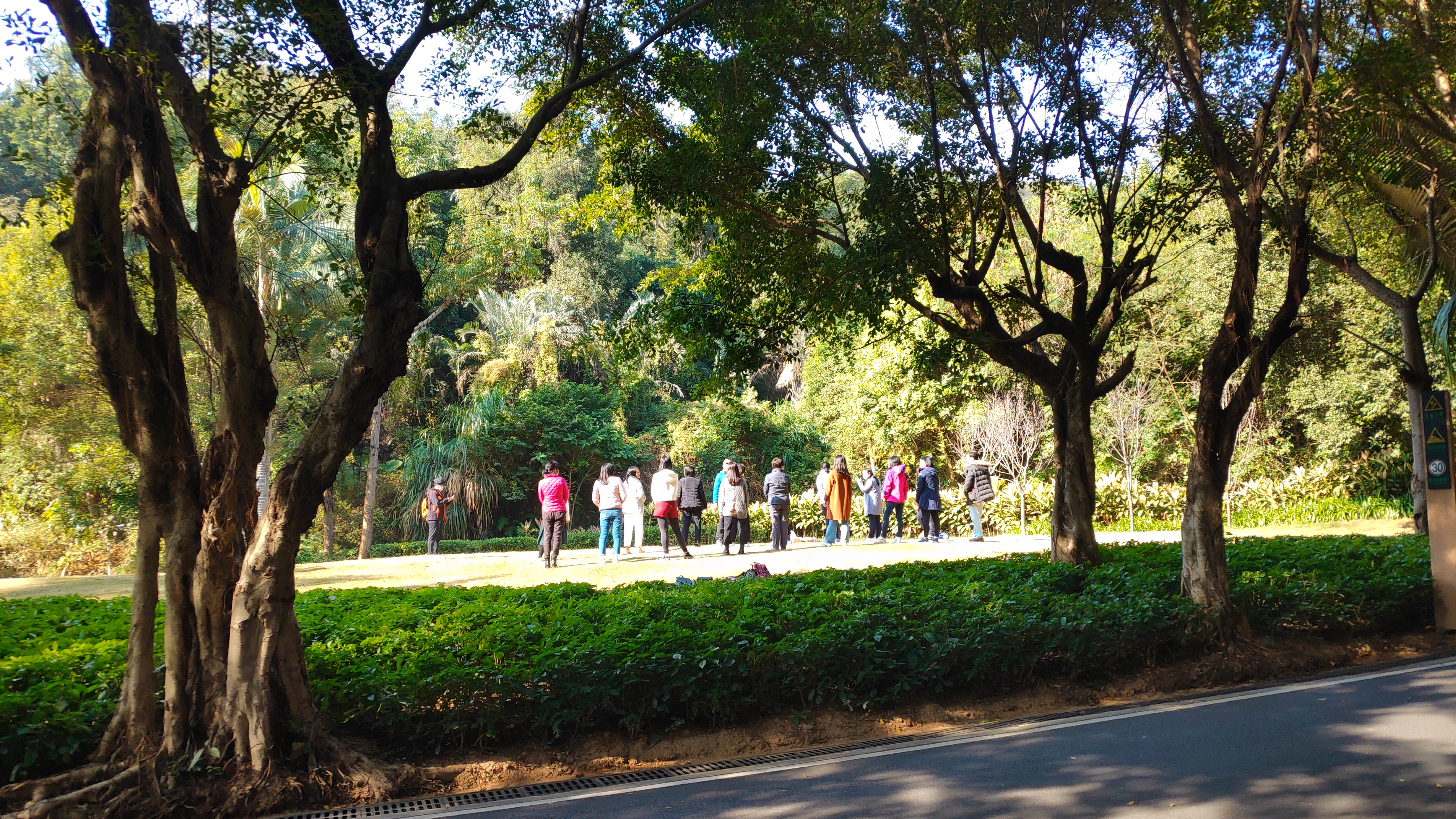 深圳罗湖绿道淘金山绿道攻略,深圳梧桐山绿道徒步攻略