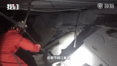 一只叫贝贝的斑点狗,有一只狗叫贝贝视频