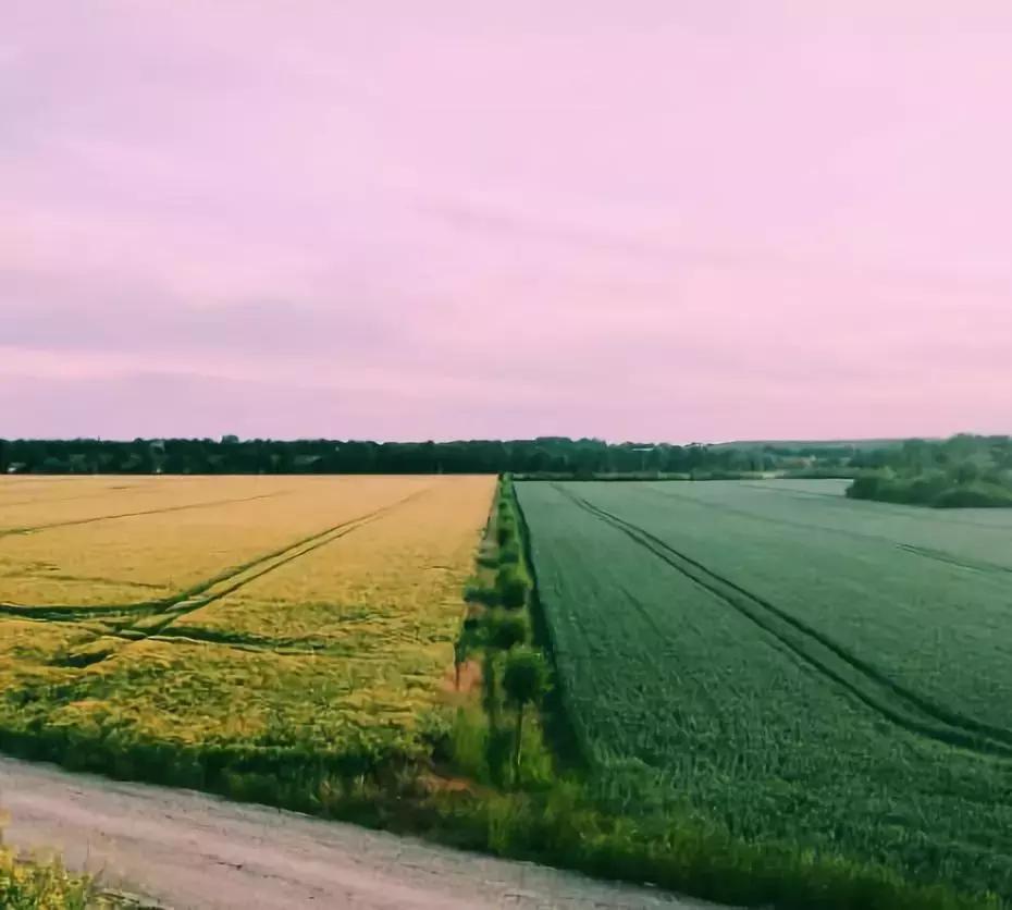 你的微信名暴露了你的人生,无形中暴露你的微信名
