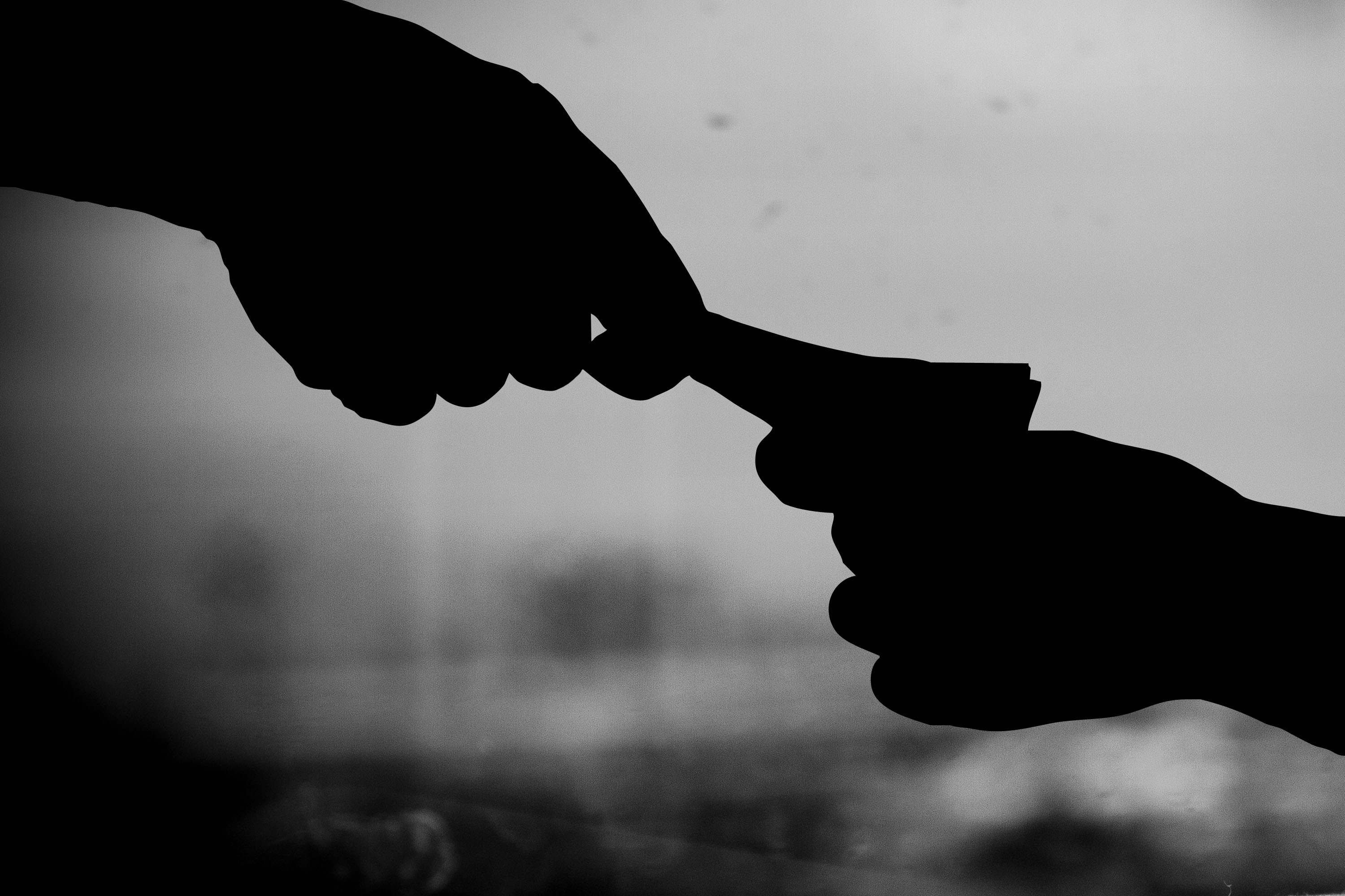 a股疫苗之王康泰生物,康泰生物今日报道