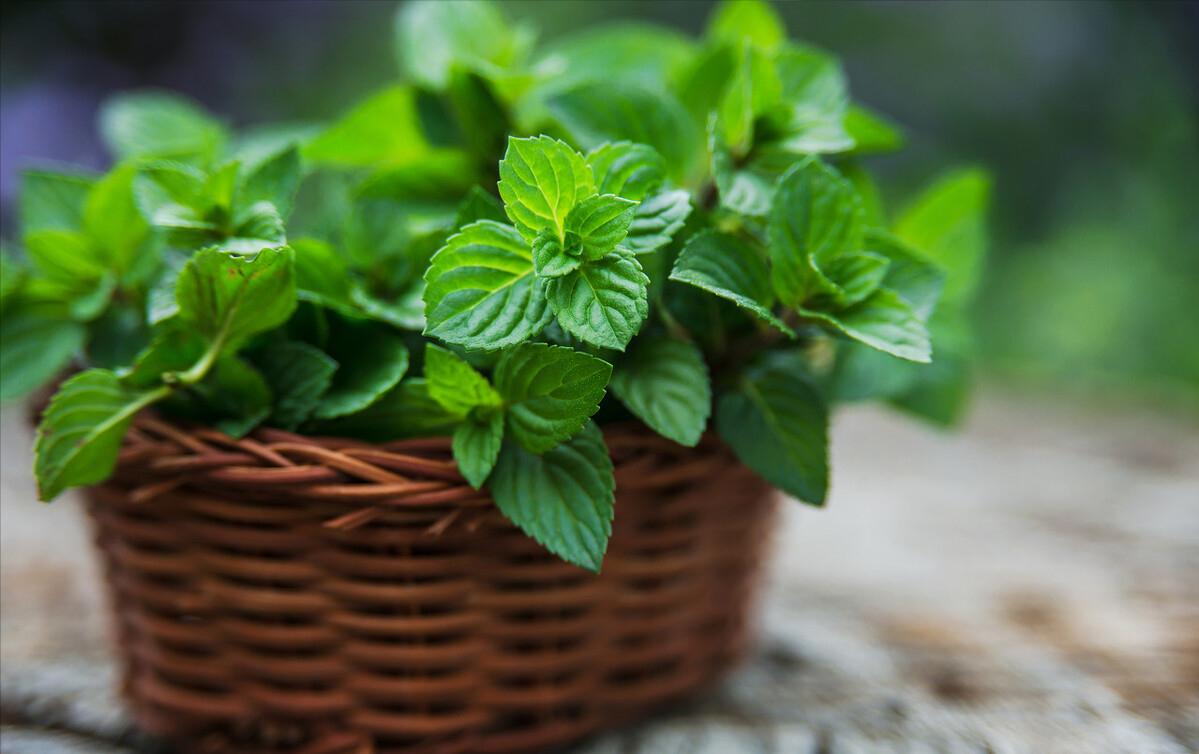 干燥综合症干眼症看眼科怎样治疗,干燥综合征干眼症能治好吗