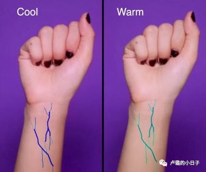 气垫粉底遮瑕持久不卡粉,气垫粉底bb新手推荐