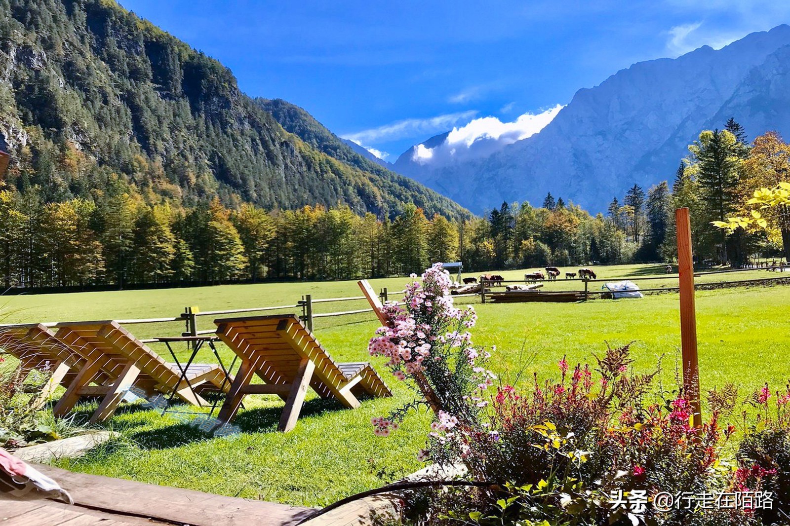 斯洛文尼亚国家好去吗,斯洛文尼亚在地图上为什么找不到