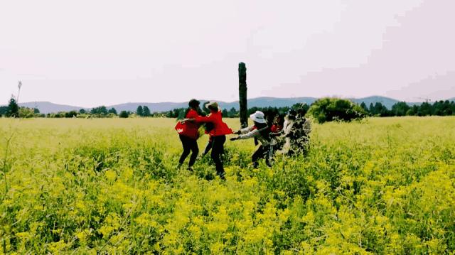 一帮闺蜜自驾游,环中俄边境自驾之旅