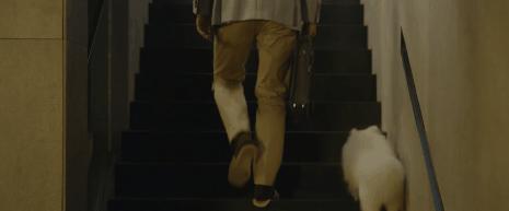 全球都在等的直播,全世界都在等待这一天的到来