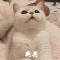 港股打新入门技巧,港股打新最好的攻略