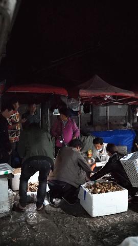 疯狂的松茸,疯狂的野生菌