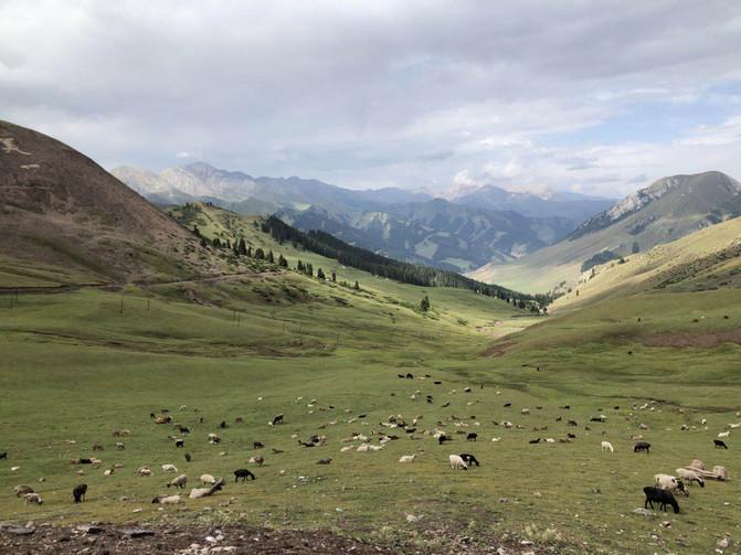 一家四口暑假日常之去游乐场,暑期全家一起大东北出游超欢乐