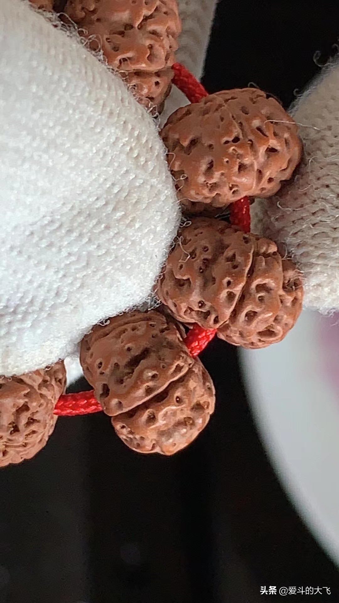 大飞说文玩：传说中的一代“树祖小金刚”你见过吗？