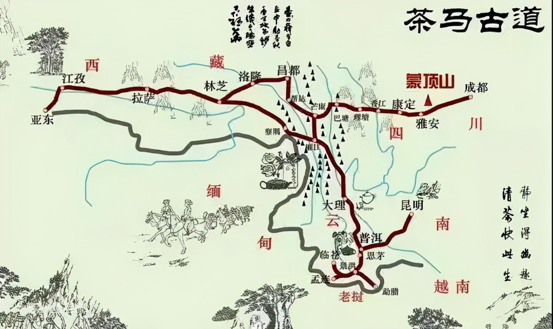 茶马古道上的千年茶香,茶马古道茶文化