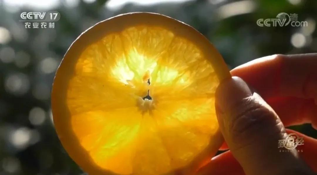 湘潭易湘华,湘潭县易湘华