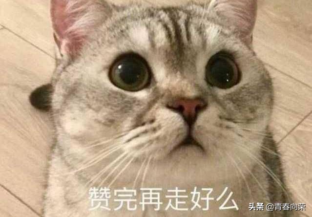 一个免费又实用的工具,值得推荐的万能工具