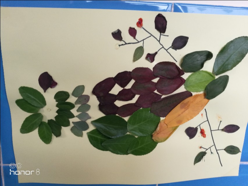 [秋叶之赋]秋日落叶漫漫，落叶归根，然而落叶有顽强的生命力