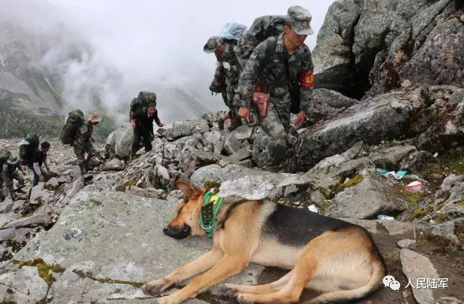 100张中国海防巡逻图,看哭了盘点中国军人的戳泪瞬间