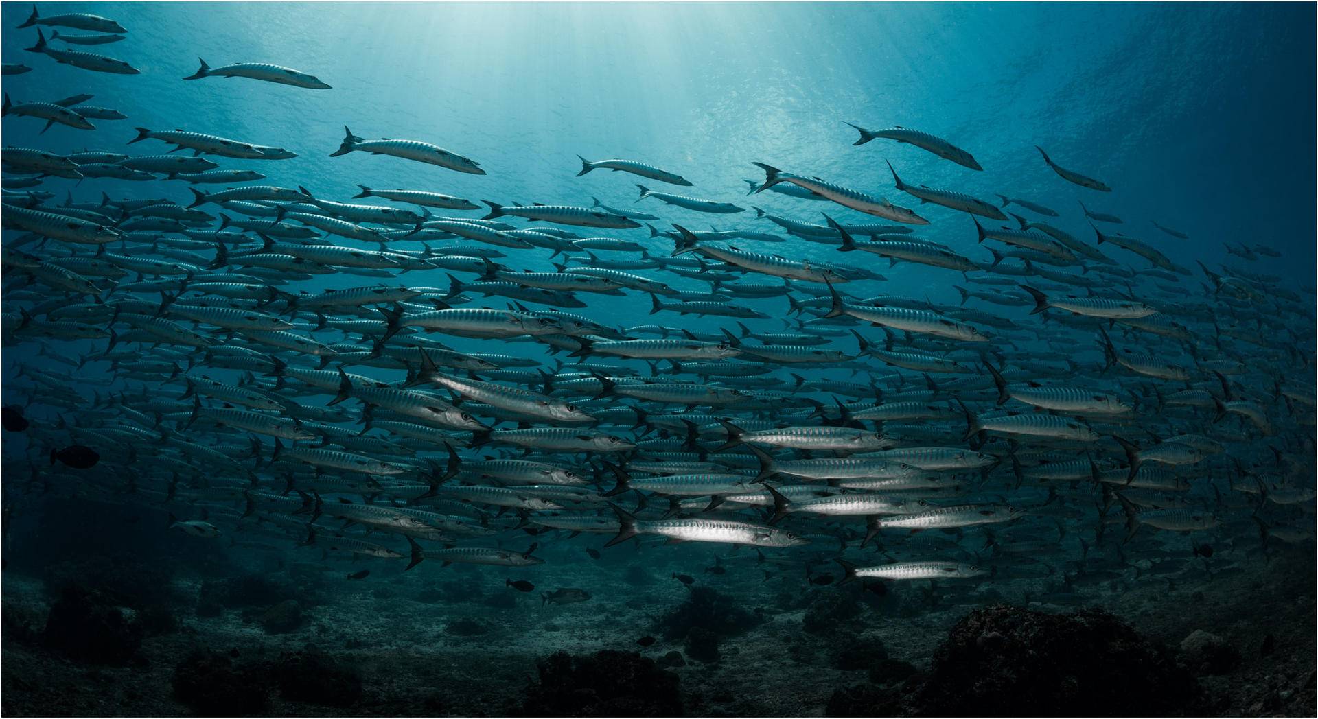 国内直飞泰国的海岛,国内直飞海岛游推荐