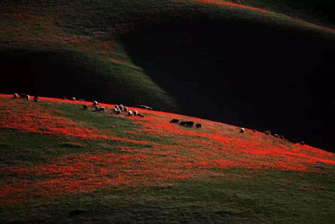 新疆的天堂在哪,新疆人间天堂在哪