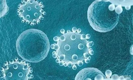 100亿活性乳酸菌,灭活乳酸杆菌