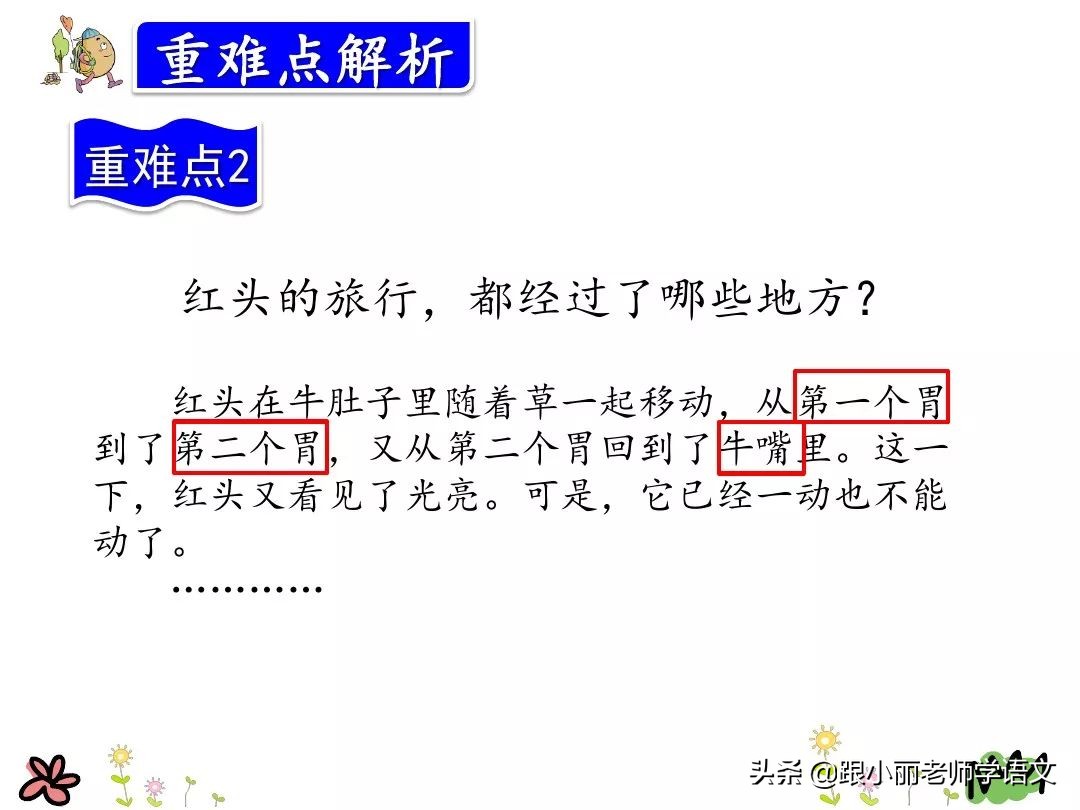 三年级上册在牛的肚子里旅行预习,三上语文在牛肚子里旅行同步讲解