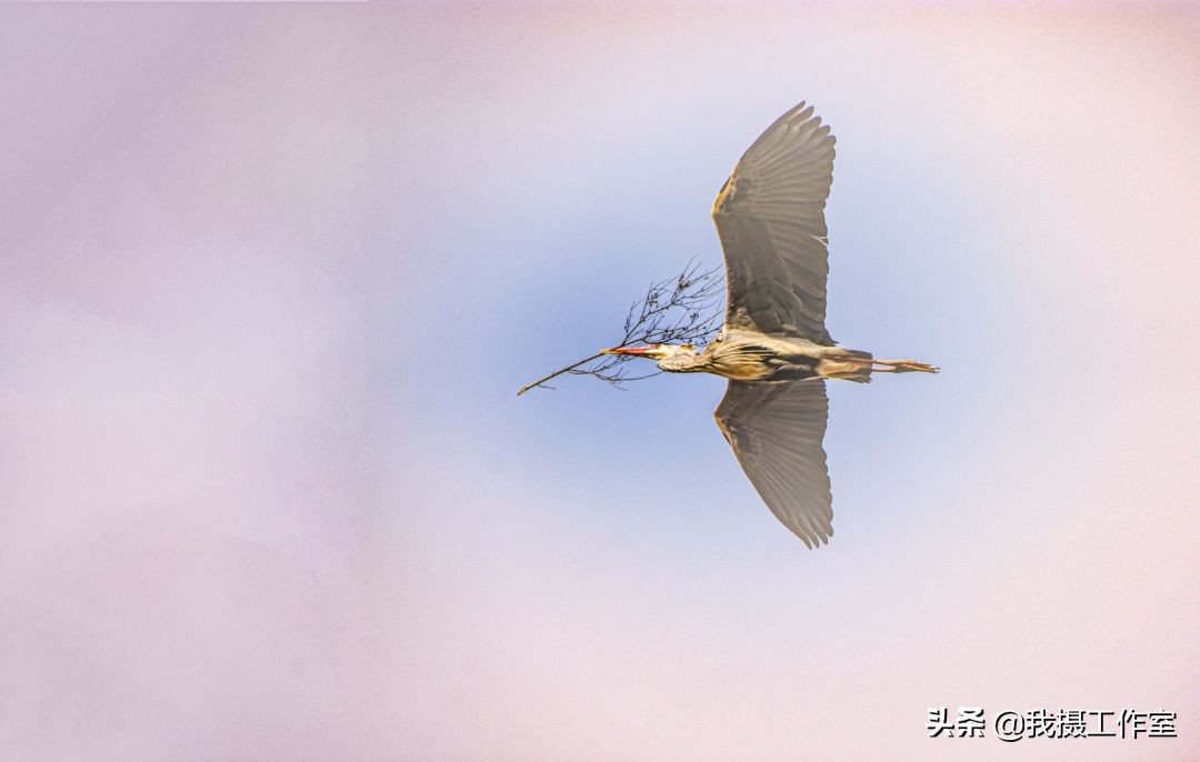 第16届国际摄影艺术展获奖作品,第29届全国摄影艺术展览作品集