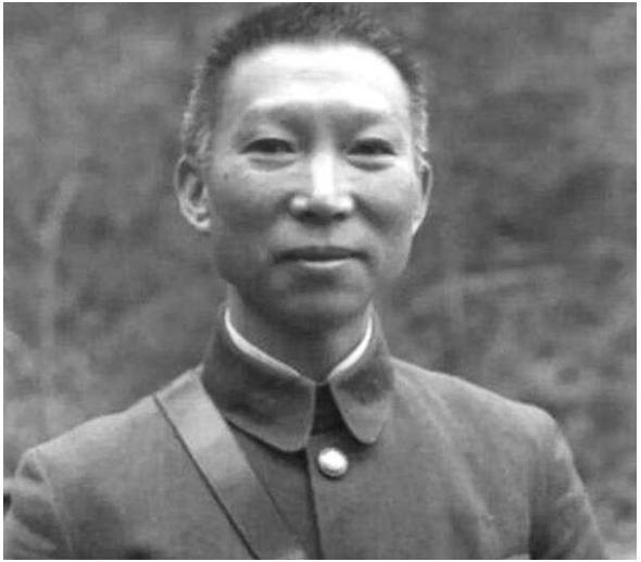 万家岭大捷为何称为三大战役之一,万家岭大捷东方战场全歼106师团