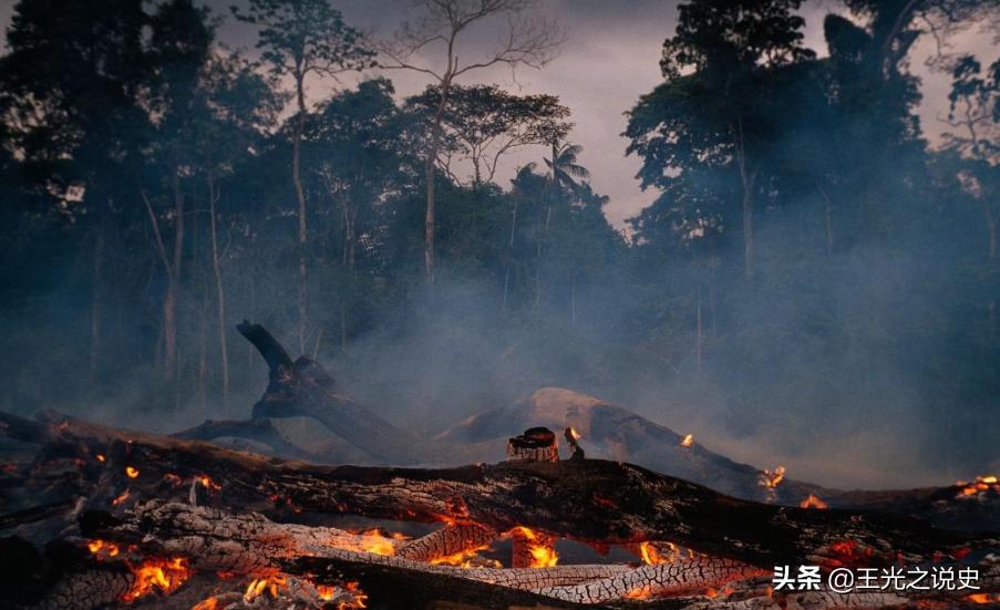 巴西踢球随心所欲,巴西除了踢球还会什么