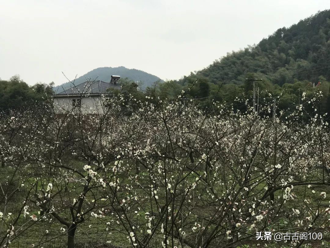 萧绍古道在哪里,萧绍古道古纤道
